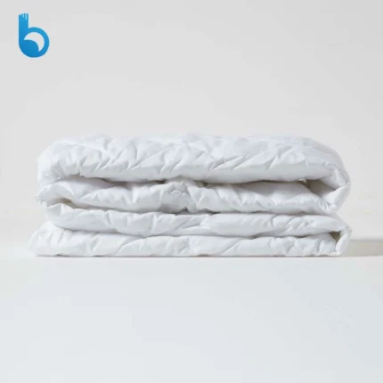 Mattress protector best 1