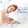 Creative-social-media-HCS-Pillow-beddingstore-bd.png