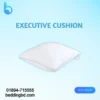 EXECUTIVE CUSHION