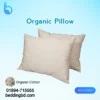 Organic pillow