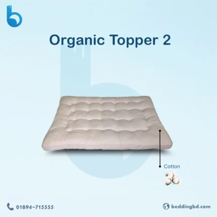 Organic Mattress Topper 2 best