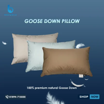 Luxury goose down pillow featuring a plush, piped-edge design and premium downproof cotton cover.